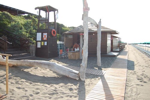 DSC_9335