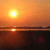 IMG_0908